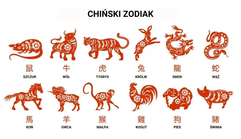 Poznaj cechy chińskich znaków zodiaku: Kto jest kim w horoskopie