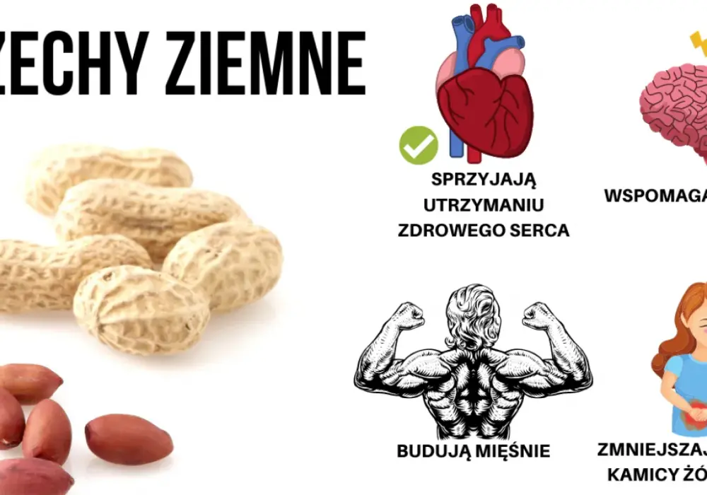 Znaczenie snu o orzechach: Tłumaczenie sennych orzechów
