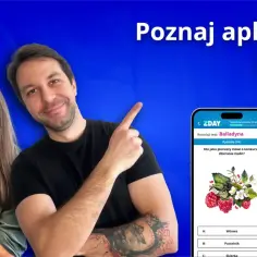 Co oznacza to spędza mi sen z powiek? Znaczenie i użycie