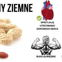 Znaczenie snu o orzechach: Tłumaczenie sennych orzechów